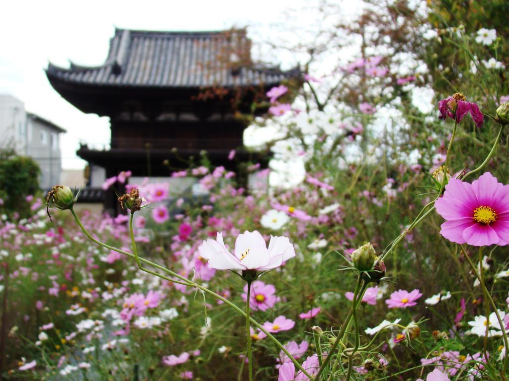 Yamabe Otel Tenri Dış mekan fotoğraf
