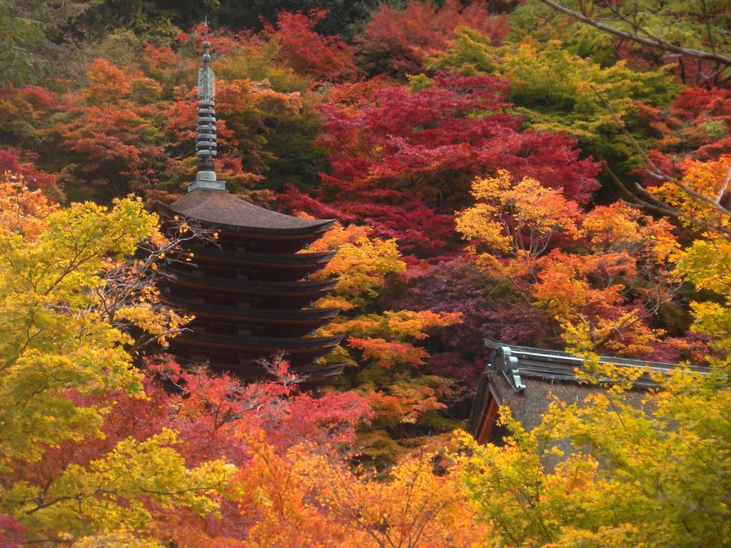 Yamabe Otel Tenri Dış mekan fotoğraf
