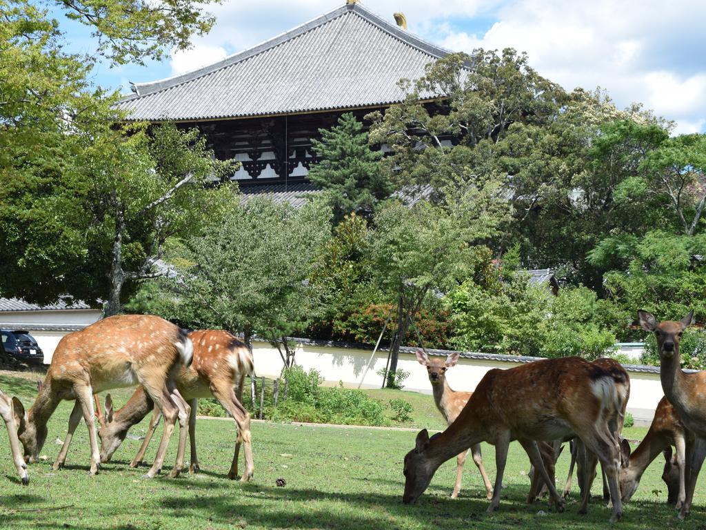 Yamabe Otel Tenri Dış mekan fotoğraf