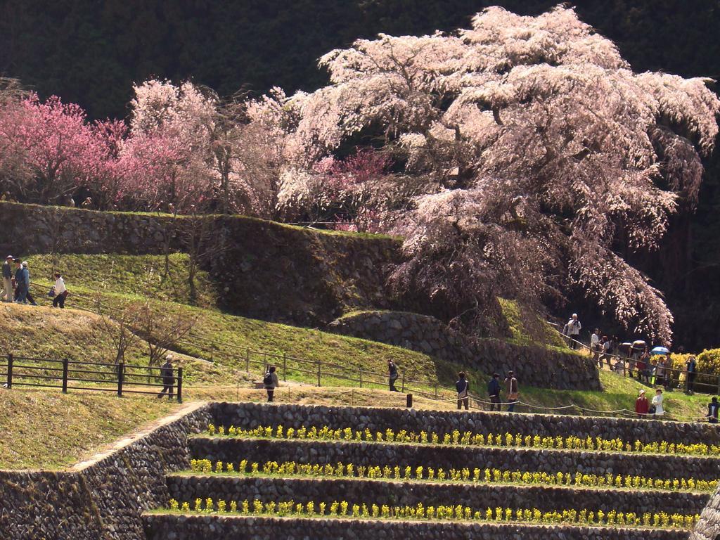 Yamabe Otel Tenri Dış mekan fotoğraf